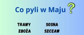 Co pyli w maju ?