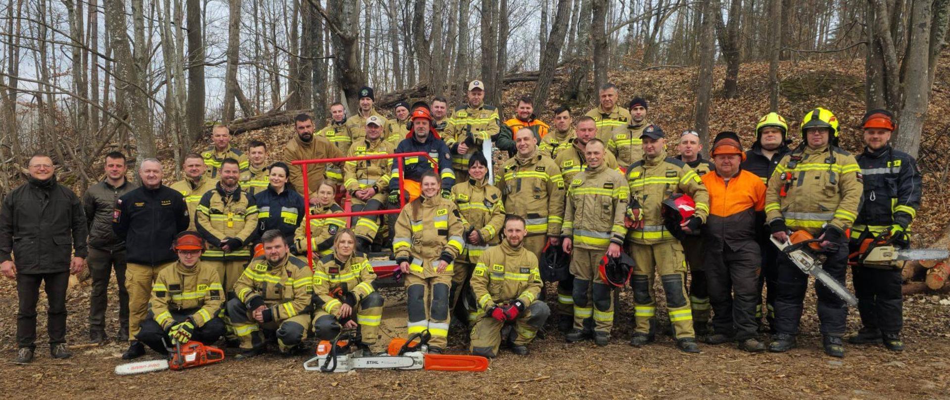Wspólne ćwiczenia w zakresie ścinki drzew