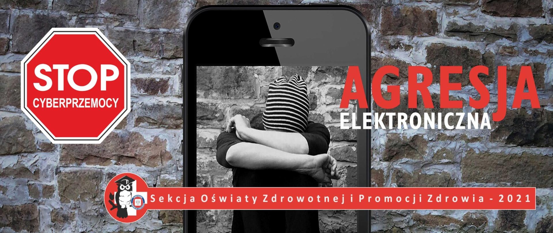 Cyberprzemoc 2021 (pixabay.com)