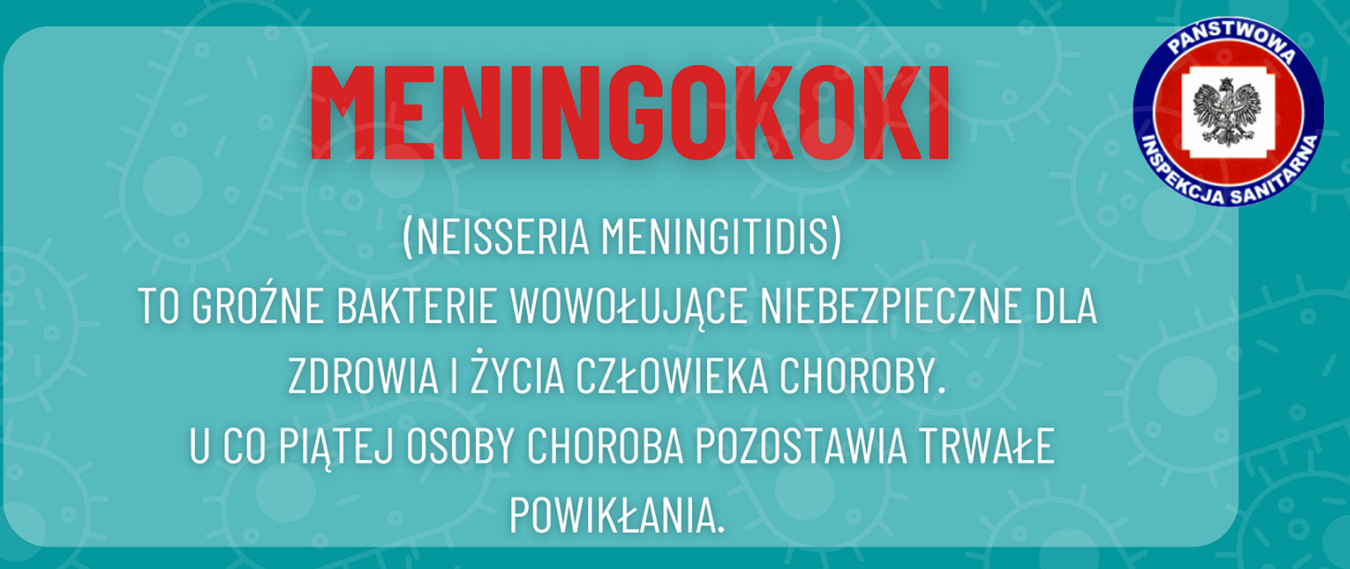 Meningokoki - wyjaśnienie terminu