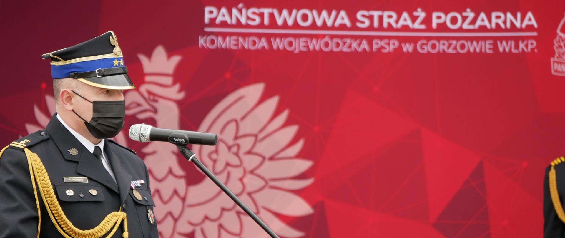 Obchody Wojewódzkie Dnia Strażaka
