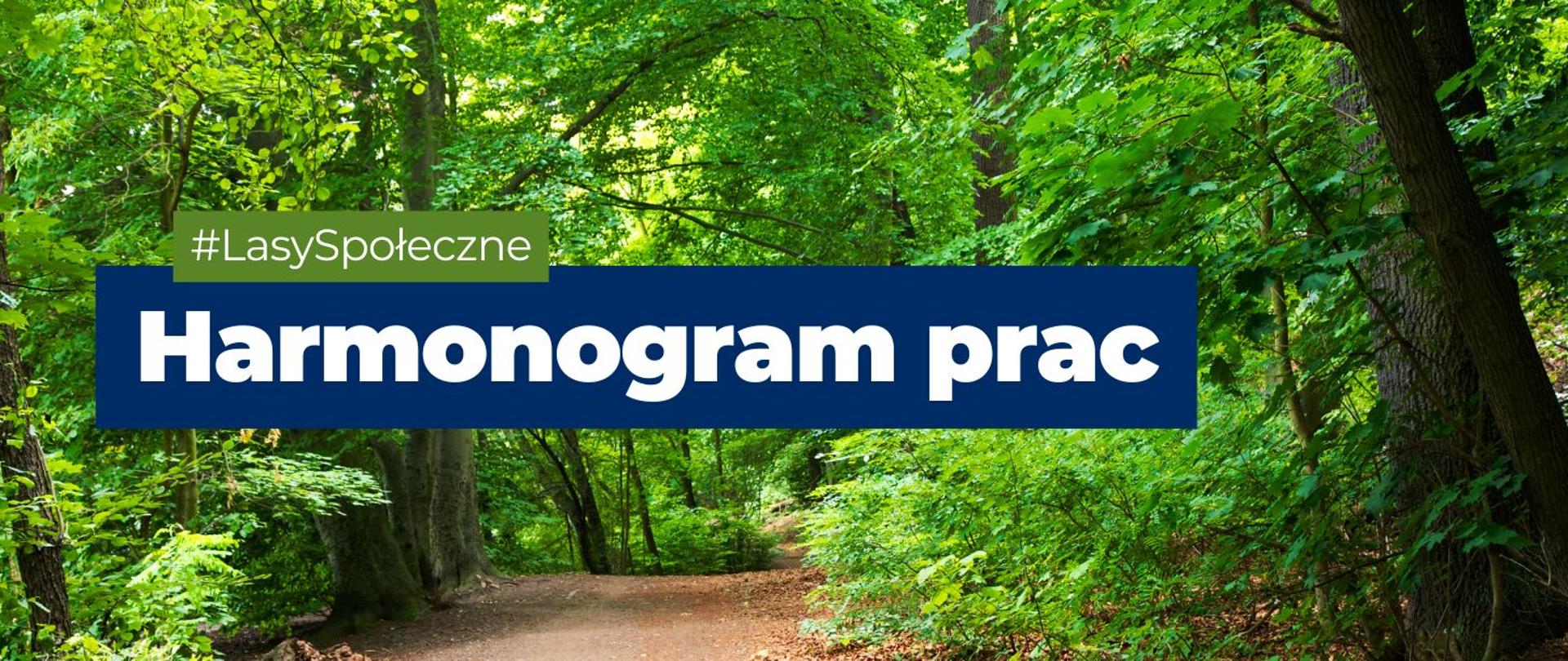 Na zdjęciu widnieje las. Na zdjęciu widoczne jest napis: #LasySpołeczne, Harmonogram prac