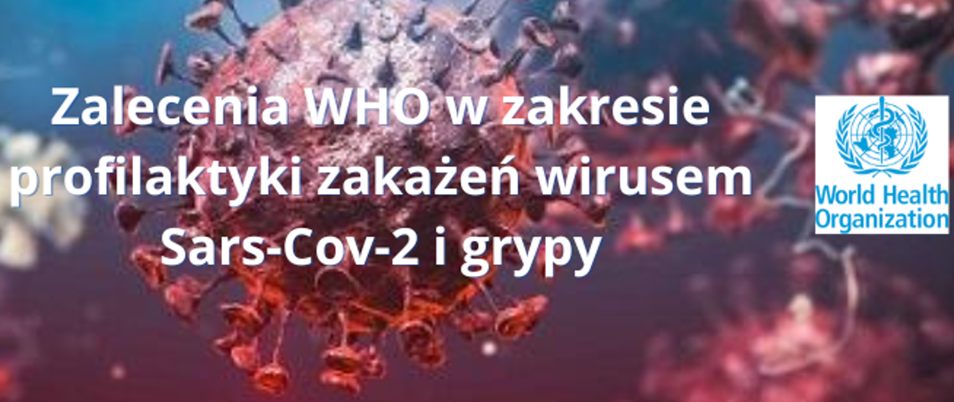 Zalecenia_WHO_w_zakresie_profilaktyki_zakażeń_wirusem_Sars-Cov-2_i_grypy