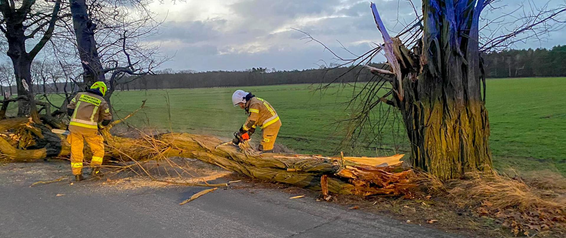 Druhowie jednostki OSP podczas prac związanych z usuwaniem powalonego drzewa.