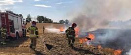 Wirwilty - pożar ścierniska