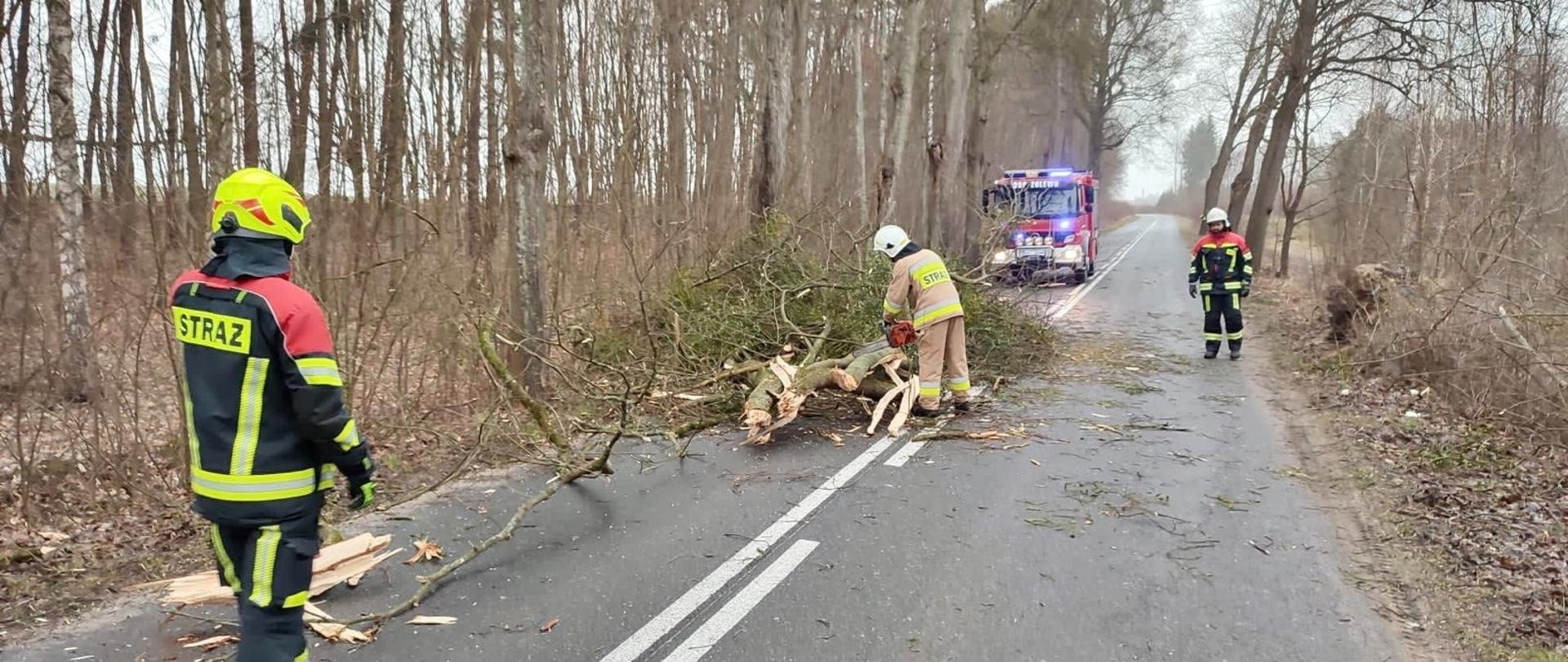Strażak przy pomocy pilarki spalinowej do drewna usuwa drzewo powalone na drogę. Dwaj strażacy zabezpieczają drogę blokując przejazd. W tle stoi samochód pożarniczy z włączoną sygnalizacją świetlną.