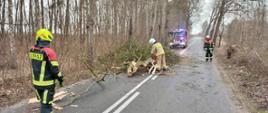 Strażak przy pomocy pilarki spalinowej do drewna usuwa drzewo powalone na drogę. Dwaj strażacy zabezpieczają drogę blokując przejazd. W tle stoi samochód pożarniczy z włączoną sygnalizacją świetlną.