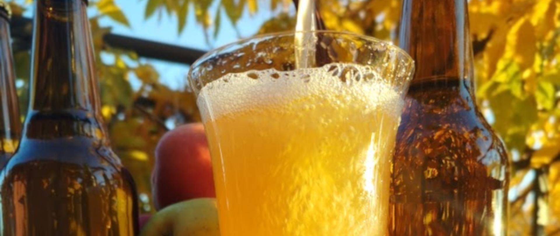 Cydr mazowiecki zwany też jabłecznikiem mazowieckim.