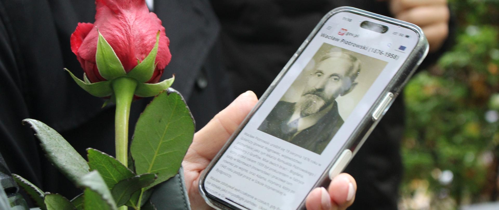 zdjęcie przedstawia zbliżenie na ekran telefonu wyświetlający informacje o zmarłym, widoczny kwiat róży