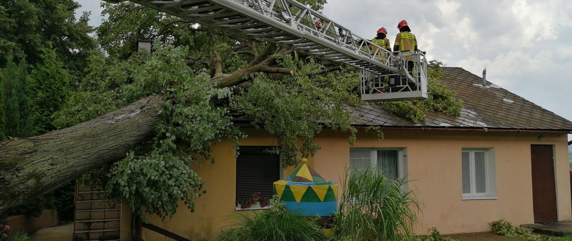 Drzewo powalone na budynek mieszkalny. Dwóch strażaków PSP w koszu autodrabiny pożarniczej usuwa z dachu konary drzewa. 