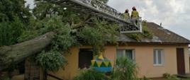 Drzewo powalone na budynek mieszkalny. Dwóch strażaków PSP w koszu autodrabiny pożarniczej usuwa z dachu konary drzewa. 