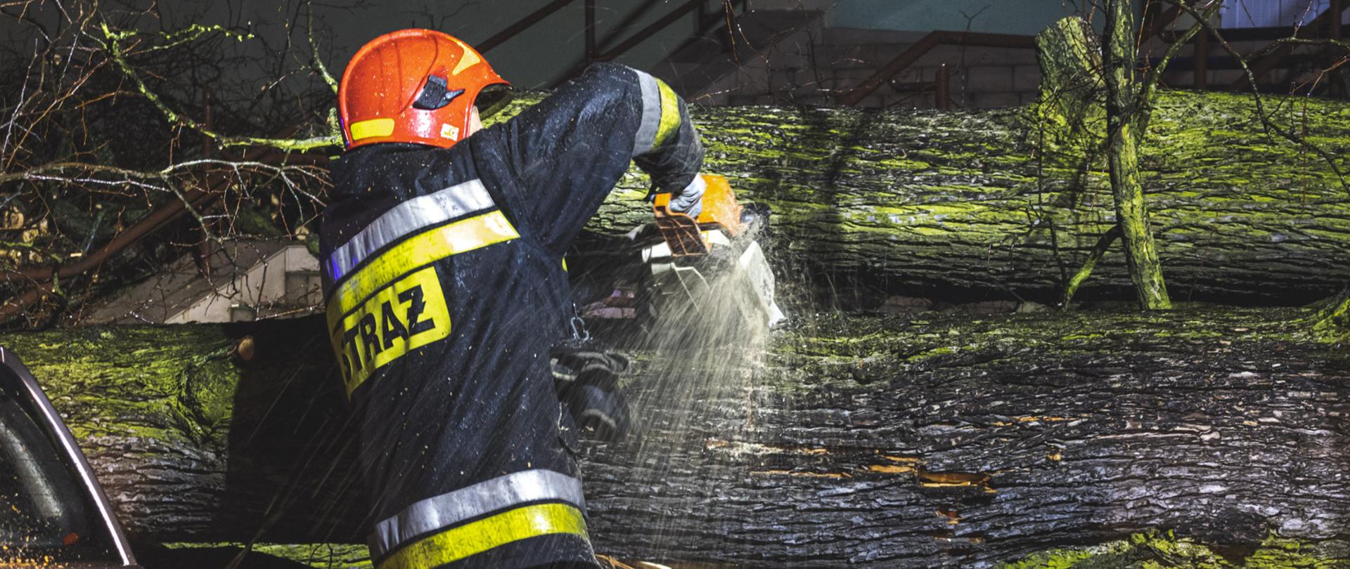 Zdjęcie przedstawia strażaków z Państwowe Straży Pożarnej i Ochotniczej Straży Pożarnej walczących ze skutami silnych wiatrów. W tle drzewo powalone na samochód osobowy.