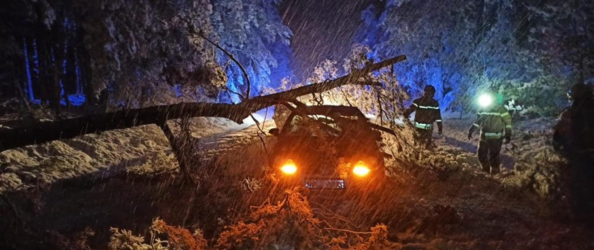 przywalone drzewem auto na drodze. obok stoją strażacy