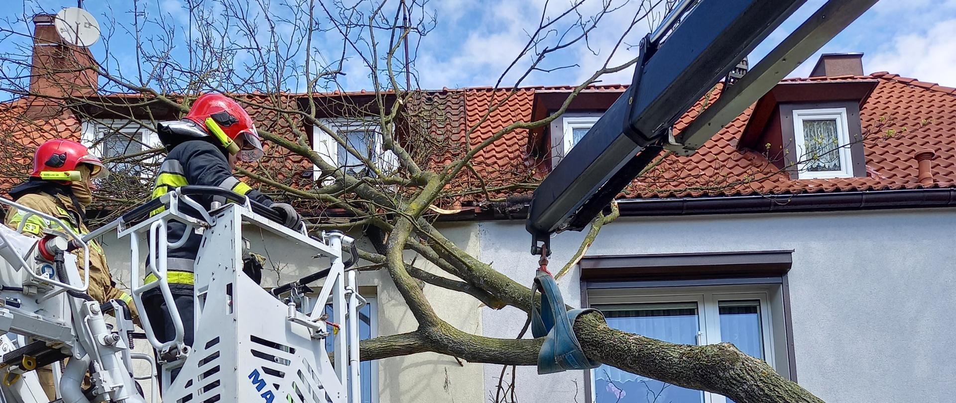 Powalone drzewo na budynek wielorodzinny