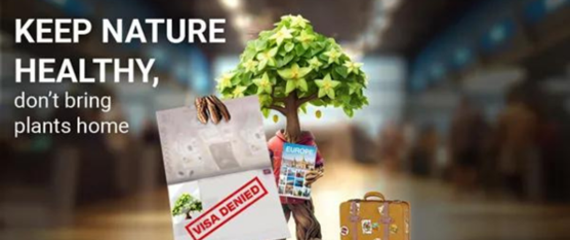 Trzeci rok kampanii #PlantHealth4Life: każdy może zostać ambasadorem zdrowia roślin