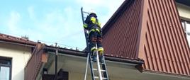 Na zdjęciu widocznych czterech strażaków zabezpieczających drabinę pożarniczą w ubraniach specjalnych granatowych w białych hełmach oraz jeden strażak na drabinie podający prąd wody na dach budynku. Budynek KP PSP elewacja biała dach blacha trapezowa koloru brązowego.
