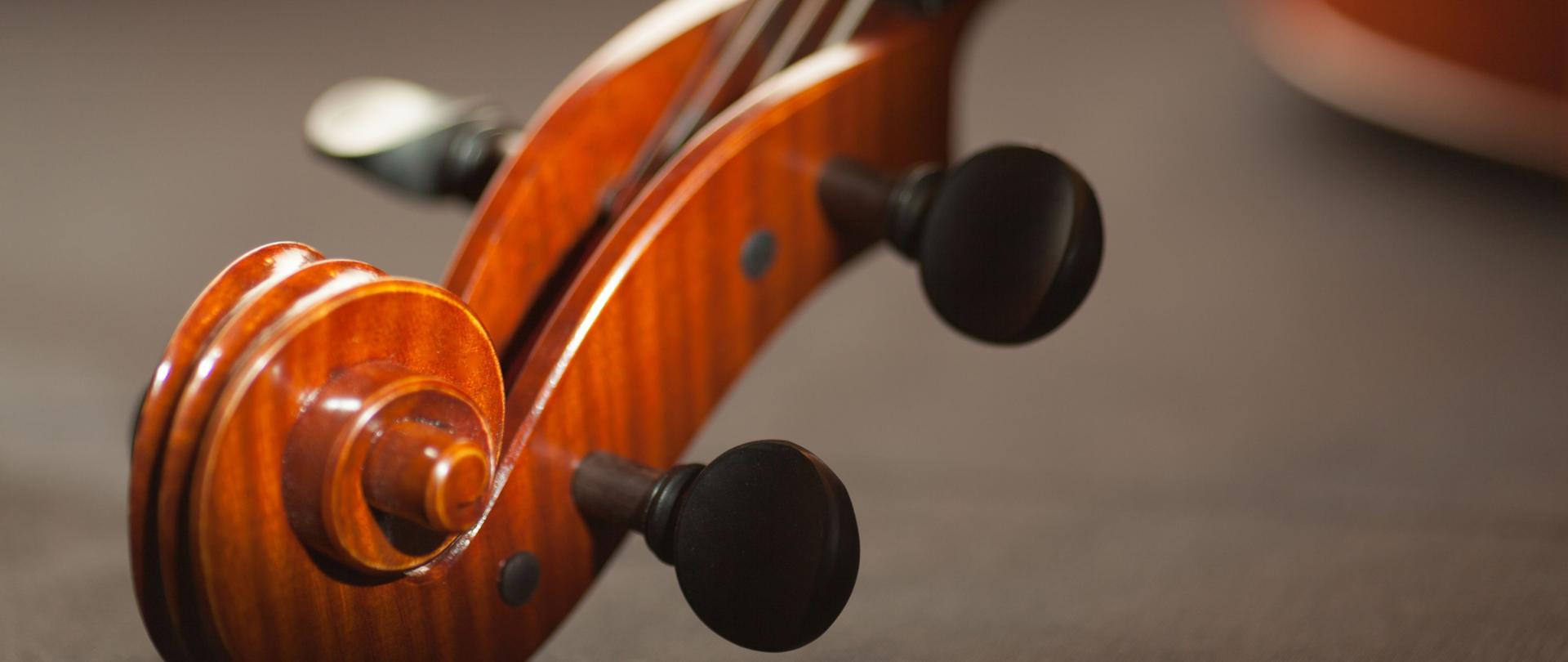 Zdjęcie prożka, kołków i ślimaka wiolonczeli z przybliżenia. wiolonczela leży na szarym tle.