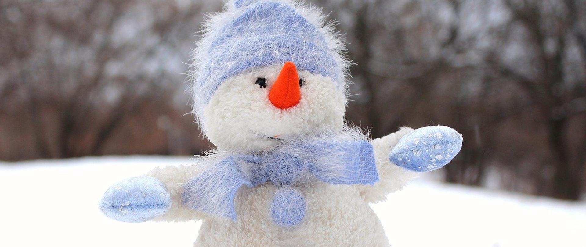 Zdjęcie przedstawia pluszowego bałwana stojącego na śniegu, w tle widać drzewa.