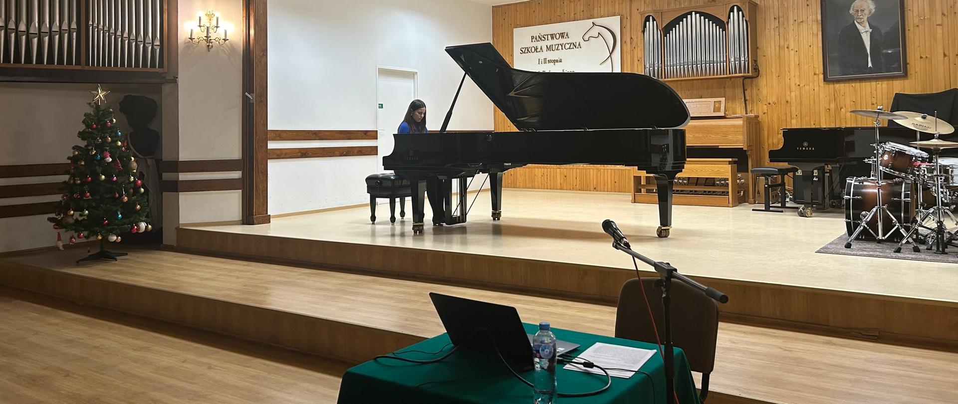 Echa Chopina w Galicji - panorama