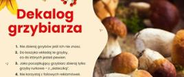 grzyby_dekalog