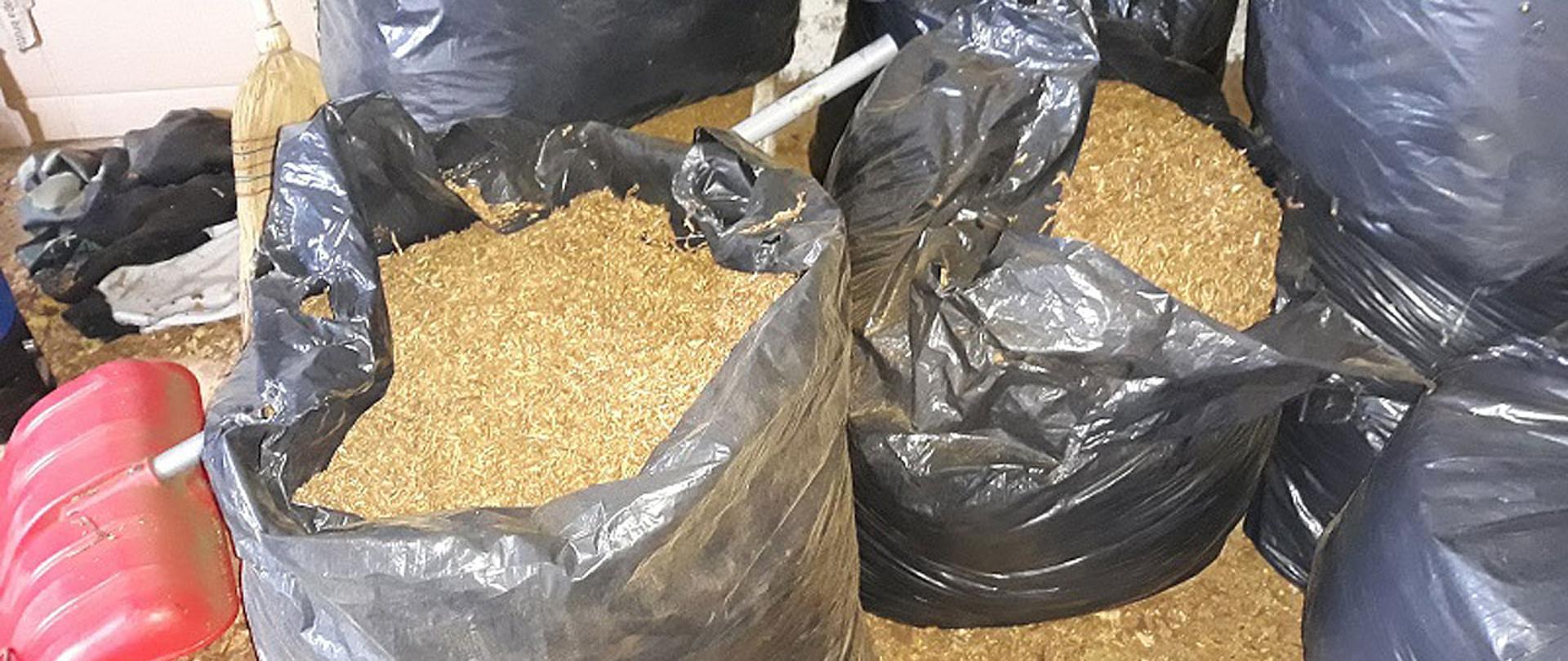 Otwarte worki z tytoniem oraz tytoń leżący na podłodze.