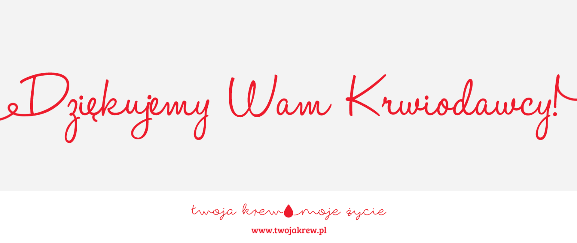dziękujemy