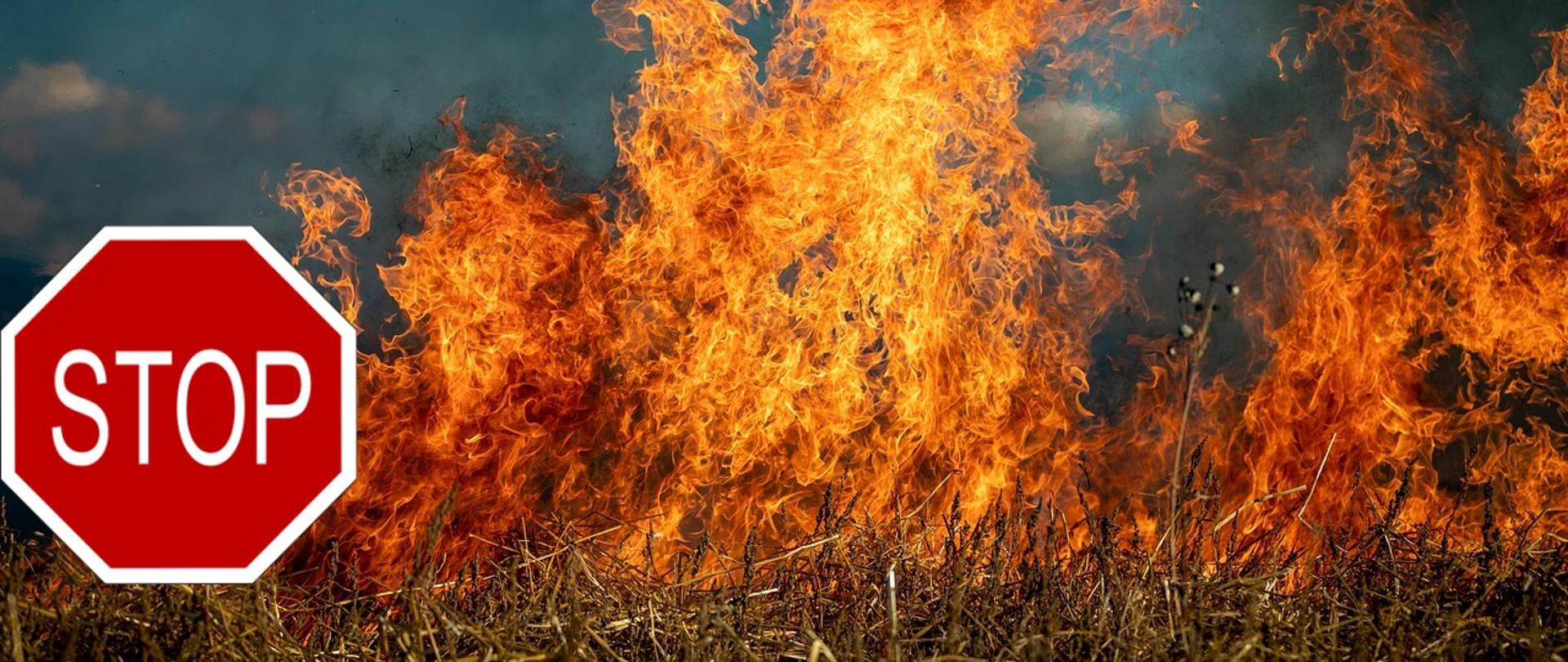Stop wypalaniu traw