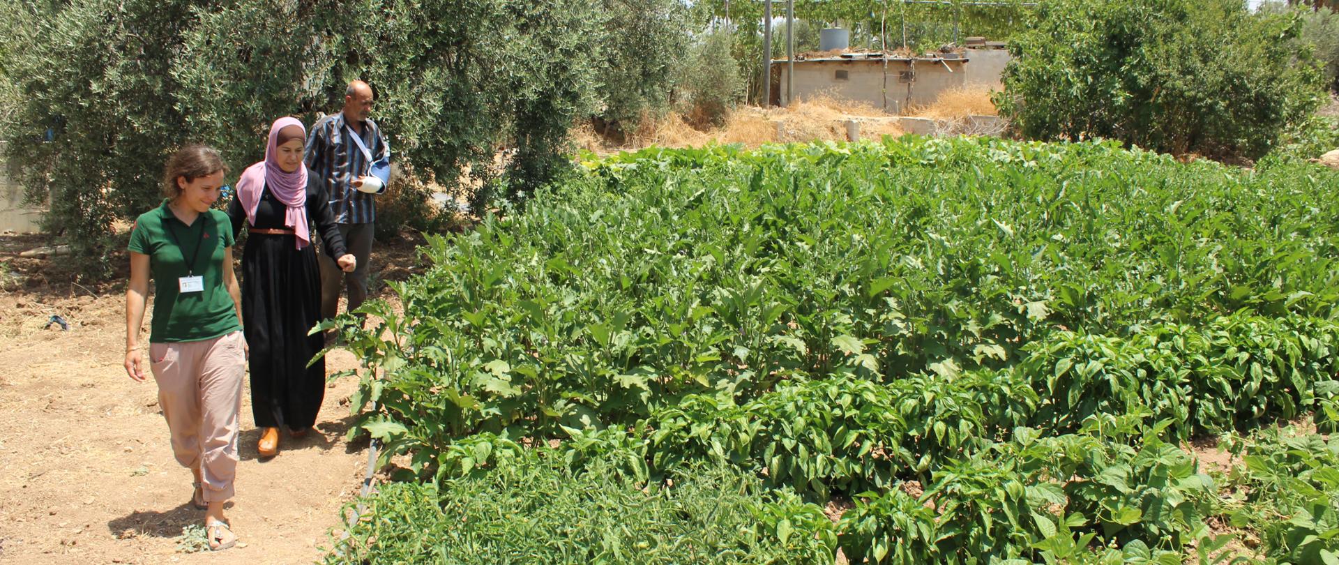 Dwie kobiety i mężczyzna patrzą na rosnące na polu rośliny