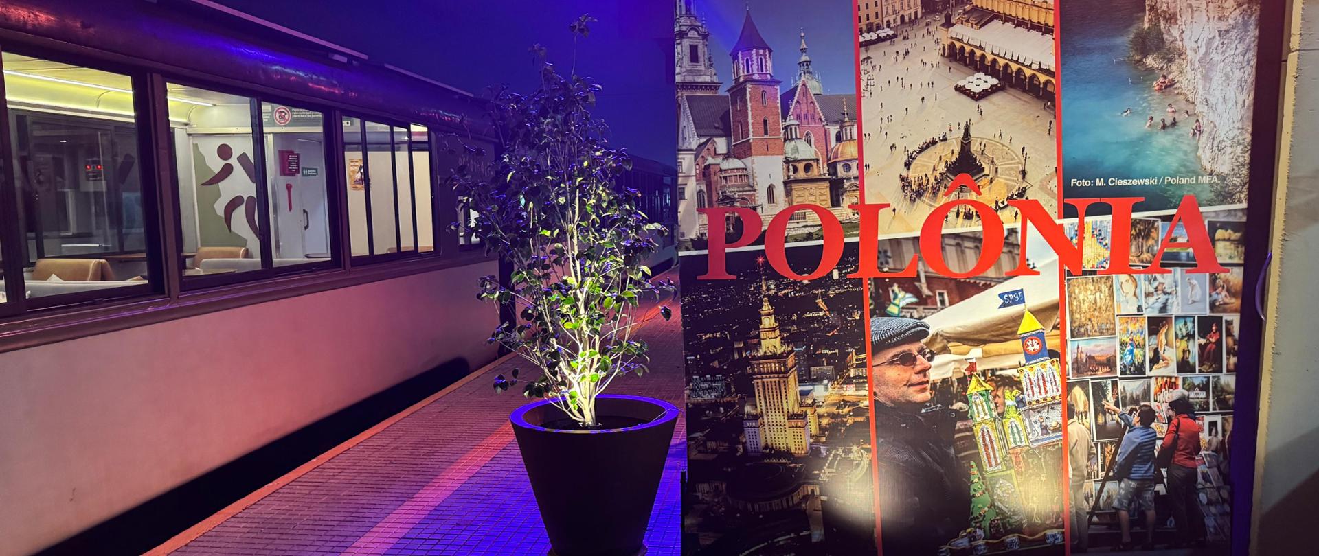 Na peronie kolejowym z lewej strony stojący wagon kolejowy, a z prawej banner ukazujący turystyczne walory Polski, z napisem POLONIA, oraz duży, ozdobny, podświetlony kwiat doniczkowy. 