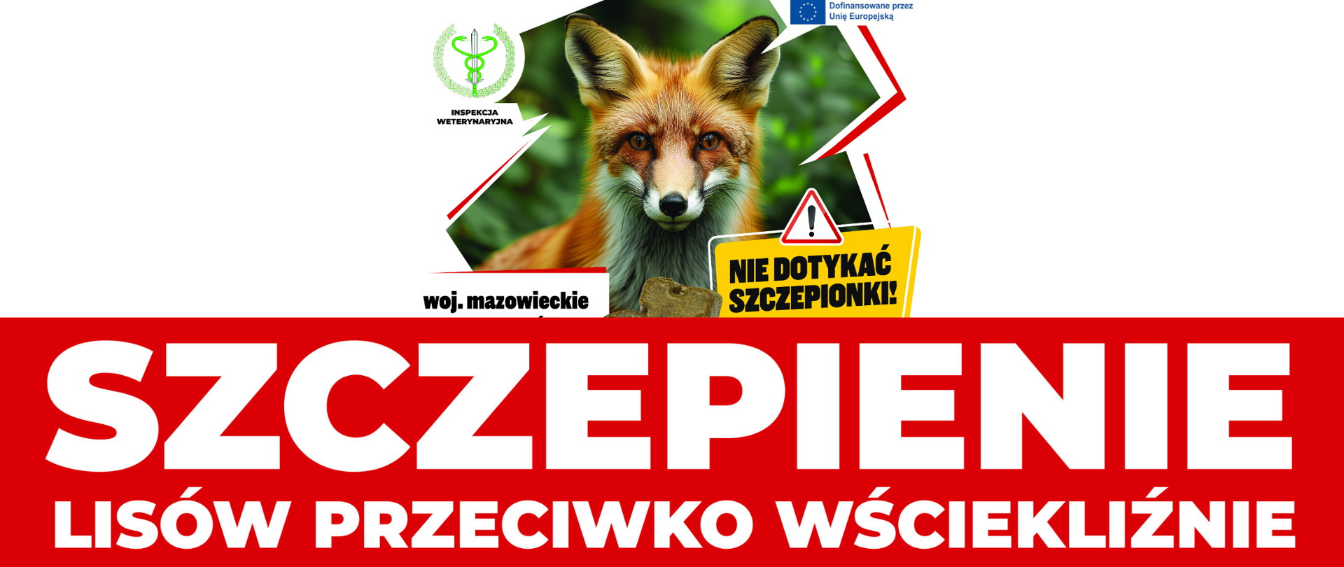 Szczepienie lisów przeciwko wściekliźnie - biały napis na czerwonym tle. Powyżej rysunek lisa i loga weterynarii i UE