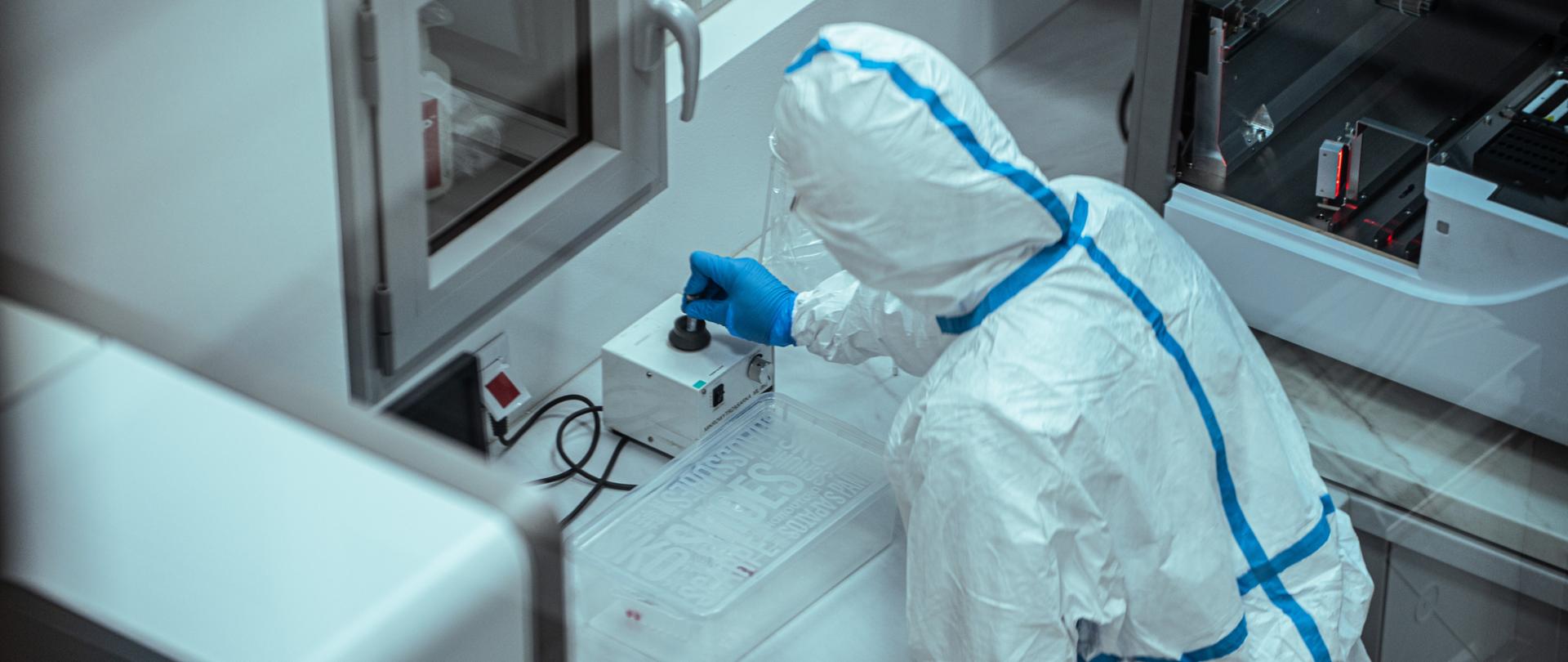 Pracownik laboratorium ASF w Piotrkowie Trybunalskim w trakcie prac diagnostycznych