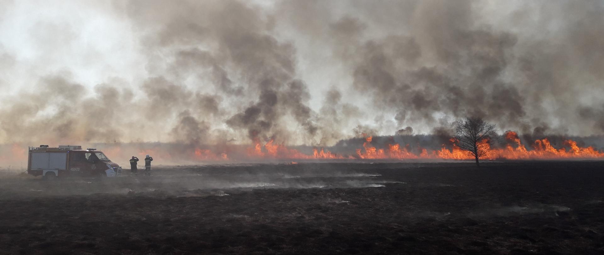 Strażacy gaszą pożar traw i suchej roślinności
