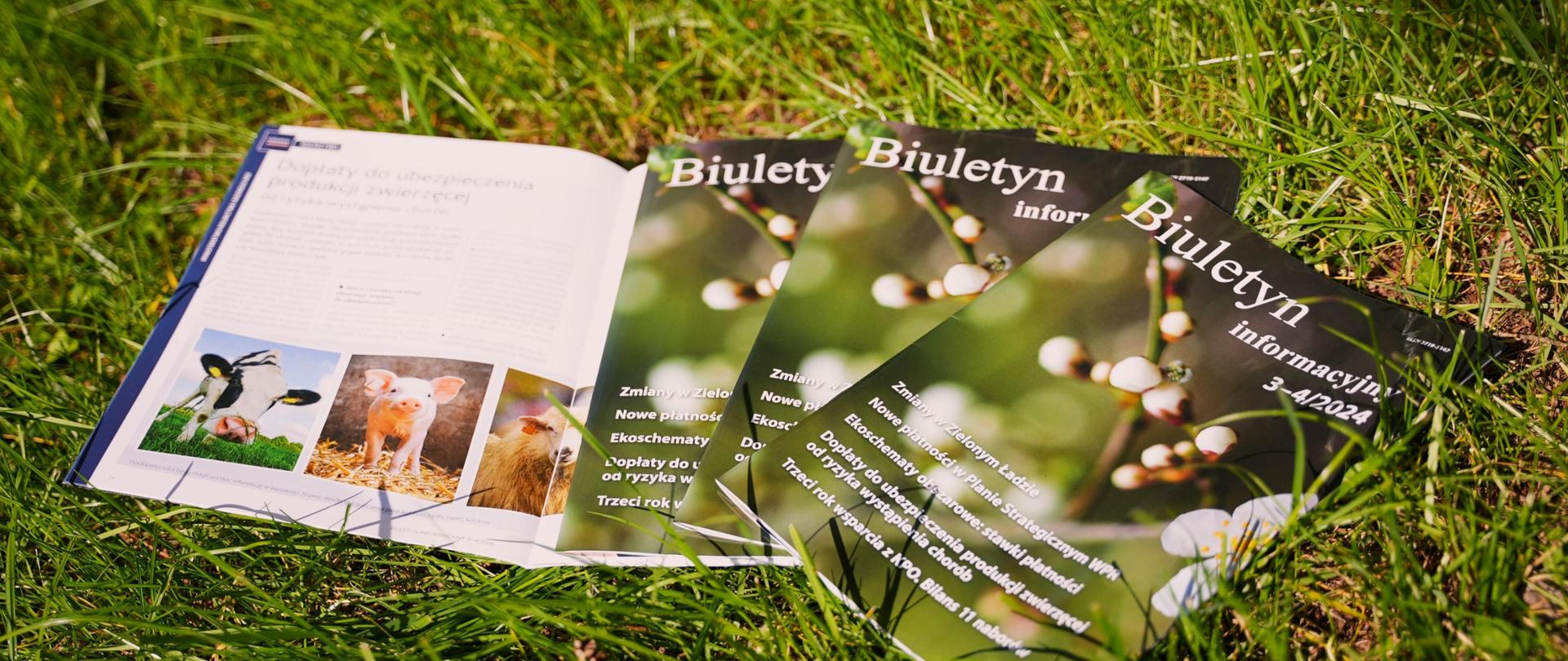 Biuletyny informacyjne MRiRW leżące na trawie