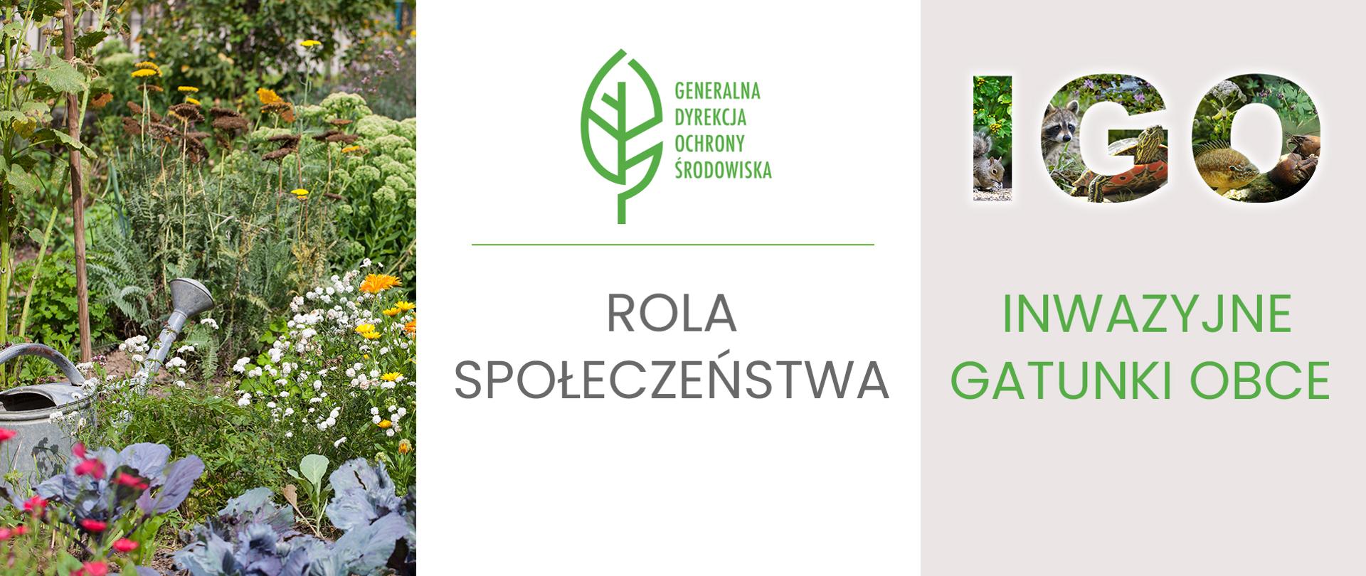 Z lewej strony grafiki zdjęcie kwiatów w ogrodzie. Widać również metalową konewkę na wodę. Po środku grafiki na białym tle znajduje się logotyp Generalnej Dyrekcji Ochrony Środowiska (zielony liść) a pod spodem napis: "ROLA SPOŁECZEŃSTWA". Po lewej stronie na szarym tle kolaż zdjęć, który tworzy napis: "IGO". Widać w nim zdjęcia różnych inwazyjnych gatunków obcych w tym także rośliny. Pod spodem napis: "INWAZYJNE GATUNKI OBCE".