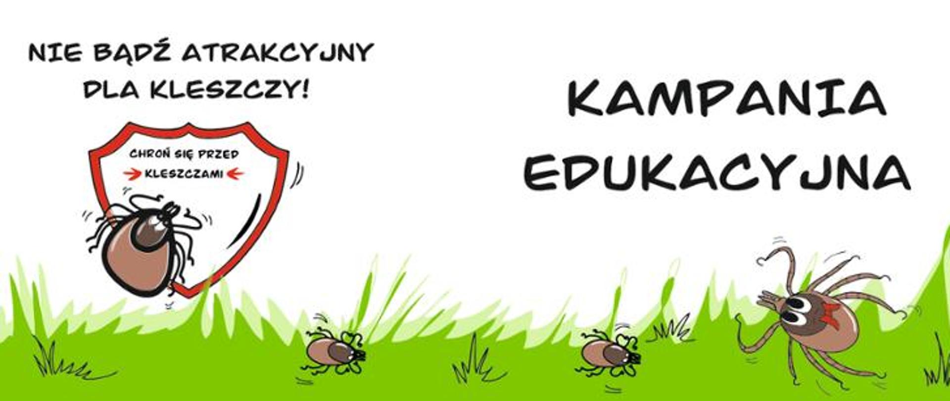 Nie bądź atrakcyjny dla kleszczy