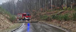 Na zdjęciu widzimy strażaków na tle wozu bojowego, którzy będą usuwać drzewo blokujące drogę, przewrócone przez silny wiatr.