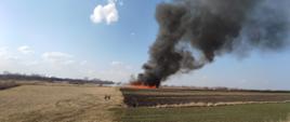 Pożary traw na nieużytkach rolnych w powiecie kazimierskim