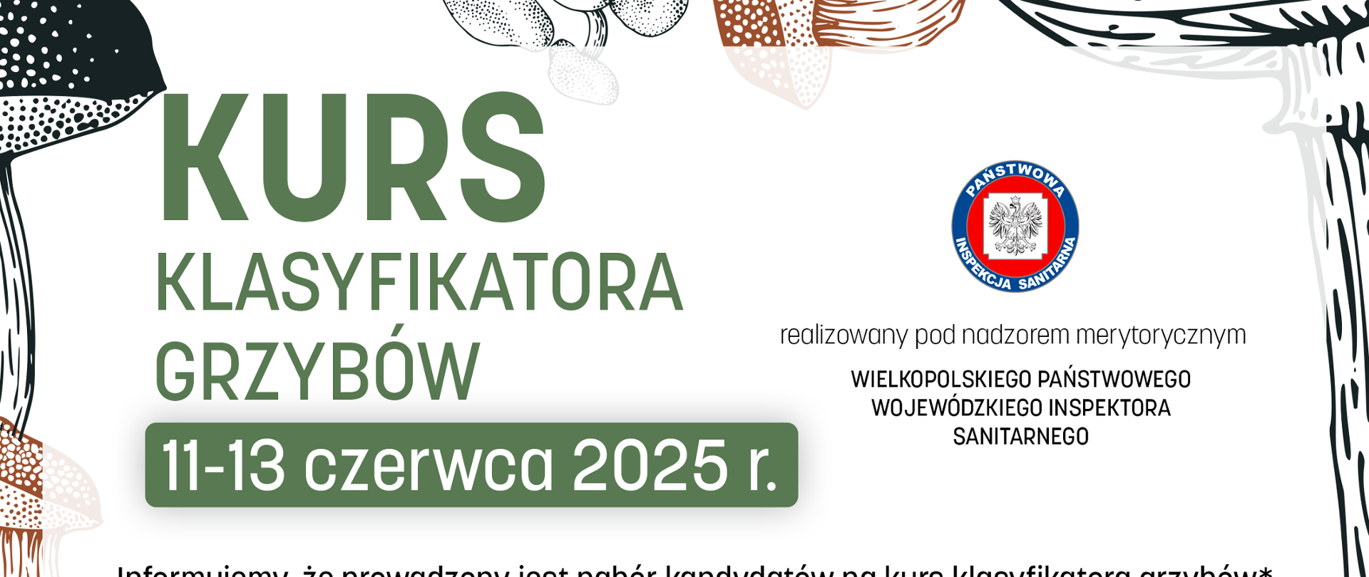 Plakat "Kurs na klasyfikatora grzybów" 11-13 czerwca 2025 r. koszt 1400 zł