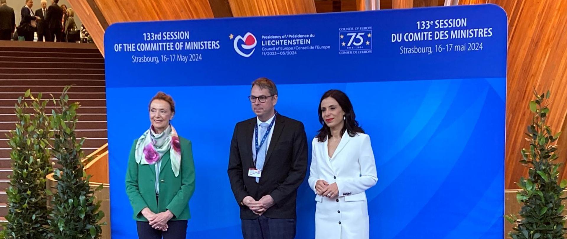 Min. J. Wiśniewski podczas 133 sesji Komitetu Ministrów Rady Europy.