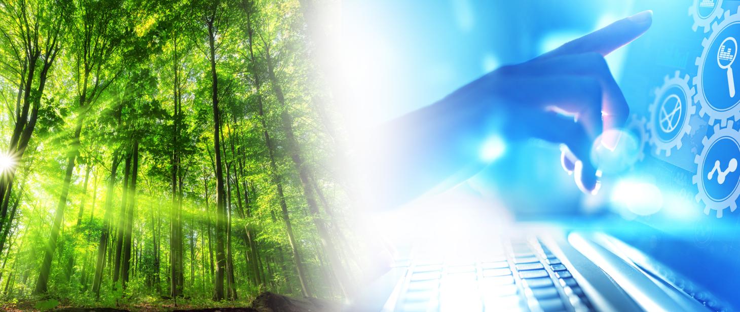 PROW 2014-2020 Rozwój przedsiębiorczości - rozwój usług związanych z rolnictwem i leśnictwem: sprawdź czy możesz złożyć wniosek o płatność końcową