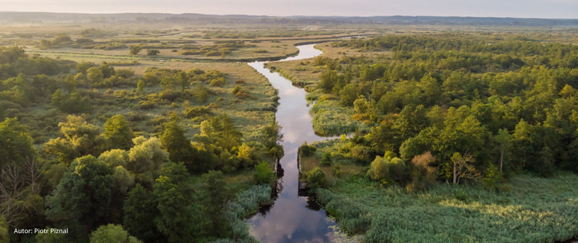 Rzeka odra, fotografia wykonana z góry 