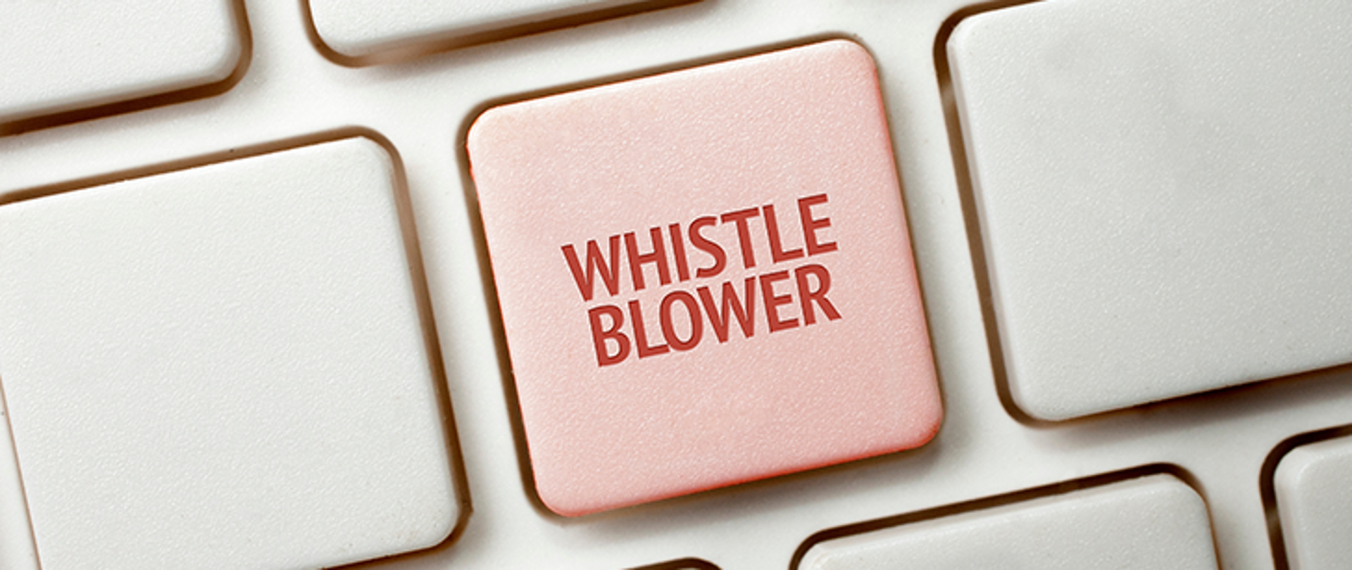 Sygnaliści - do leadu