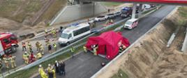Na nowej drodze ekspresowej trwa akcja ratunkowa po wypadku. Widać strażaków, karetki, wozy strażackie i biały bus. Na jezdni stoi czerwony namiot ratowniczy, a ratownicy pomagają poszkodowanym.