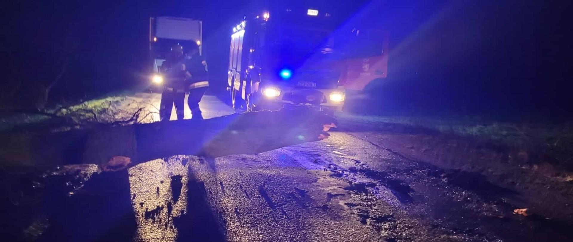 Złamane drzewo leży na drodze. 