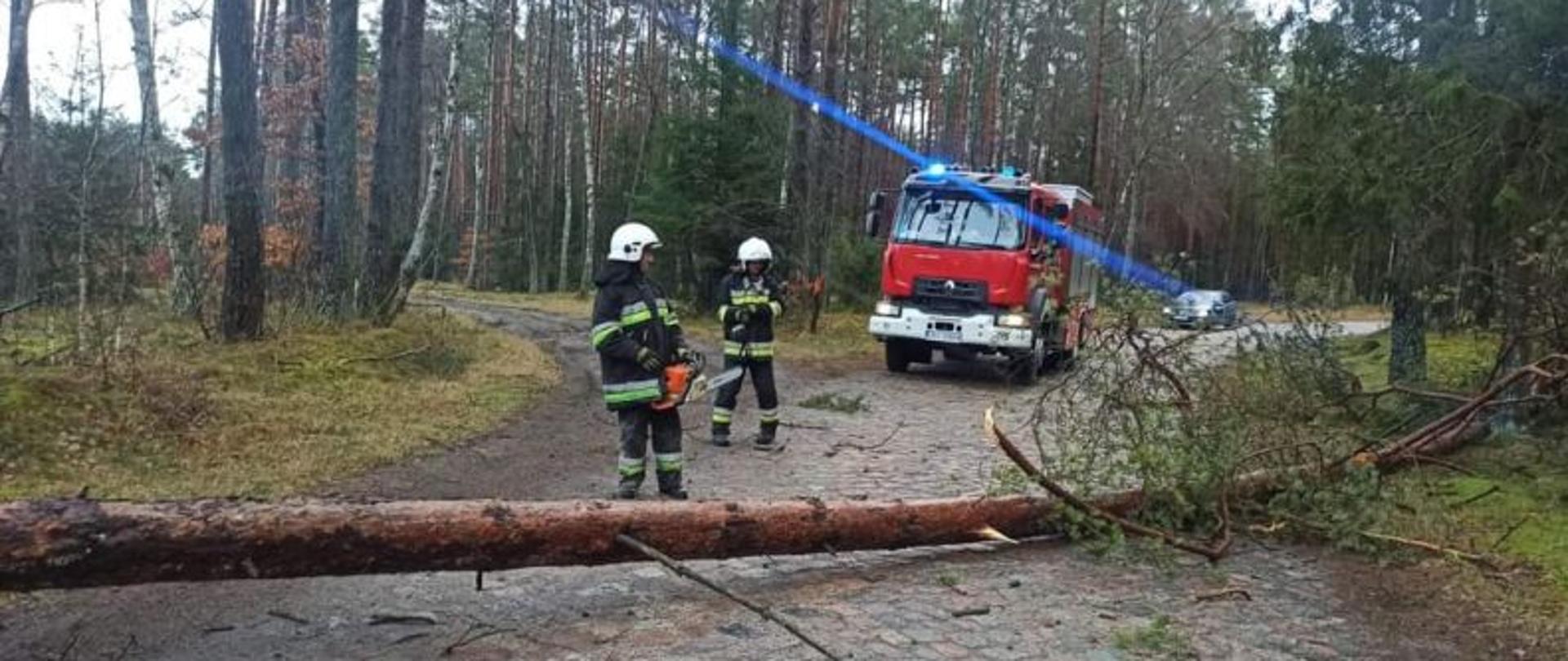 Zdjęcie wykonane w dzień. Centralny punkt stanowią dwaj strażacy w białych hełmach. Jeden ze strażaków ma w ręku pomarańczowa piłę. Strażacy kierują się do powalonego drzewa leżącego wzdłuż drogi