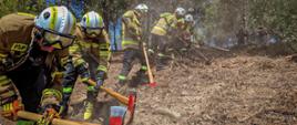Strażacy w terenie górzysto-leśnym przekopują teren przy użyciu podręcznego sprzętu gaśniczego. 