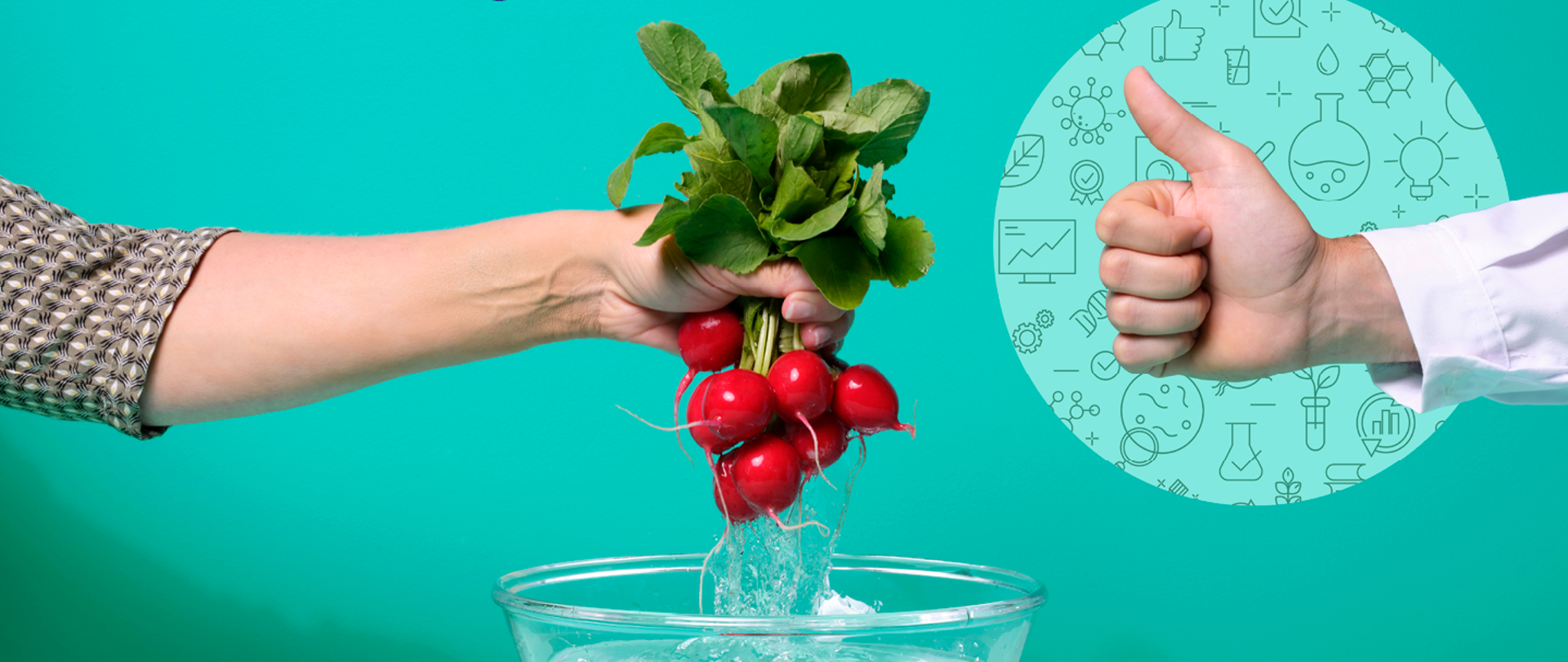 Jakich zasad higieny żywności powinienem przestrzegać w domu