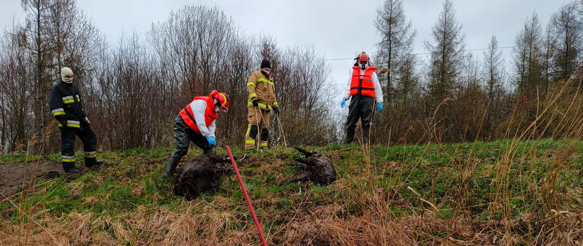 KP PSP MALBORK – MARTWE DZIKI – ZĄBROWO, STARY NOGAT