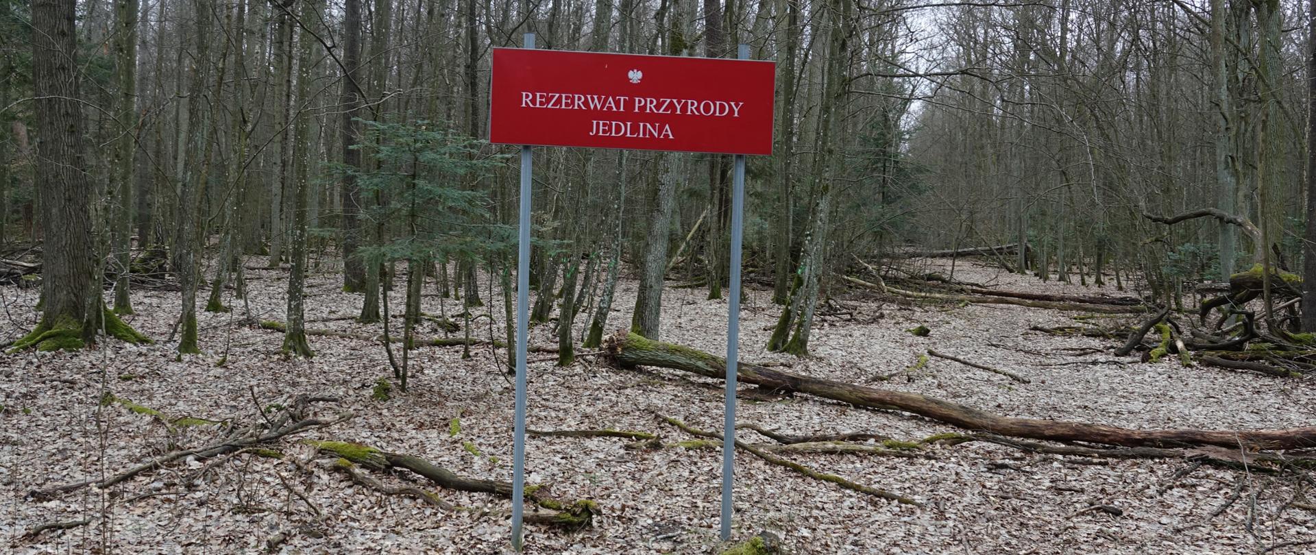 Na pierwszym planie tablica urzędowa z nazwą rezerwatu, w tle las i powalone drzewa