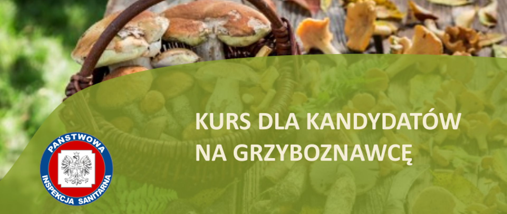 Ogłoszenie o kursie na grzyboznawcę